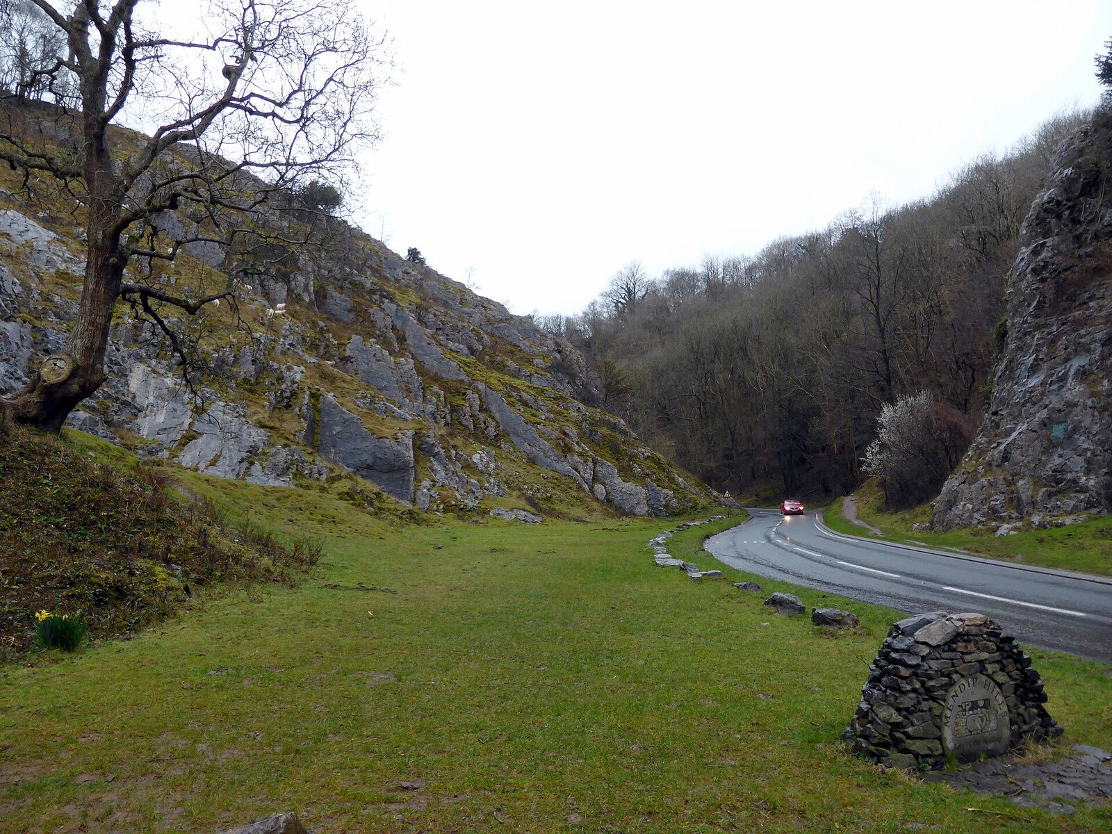 The limestone cliffs of Burrington Combe