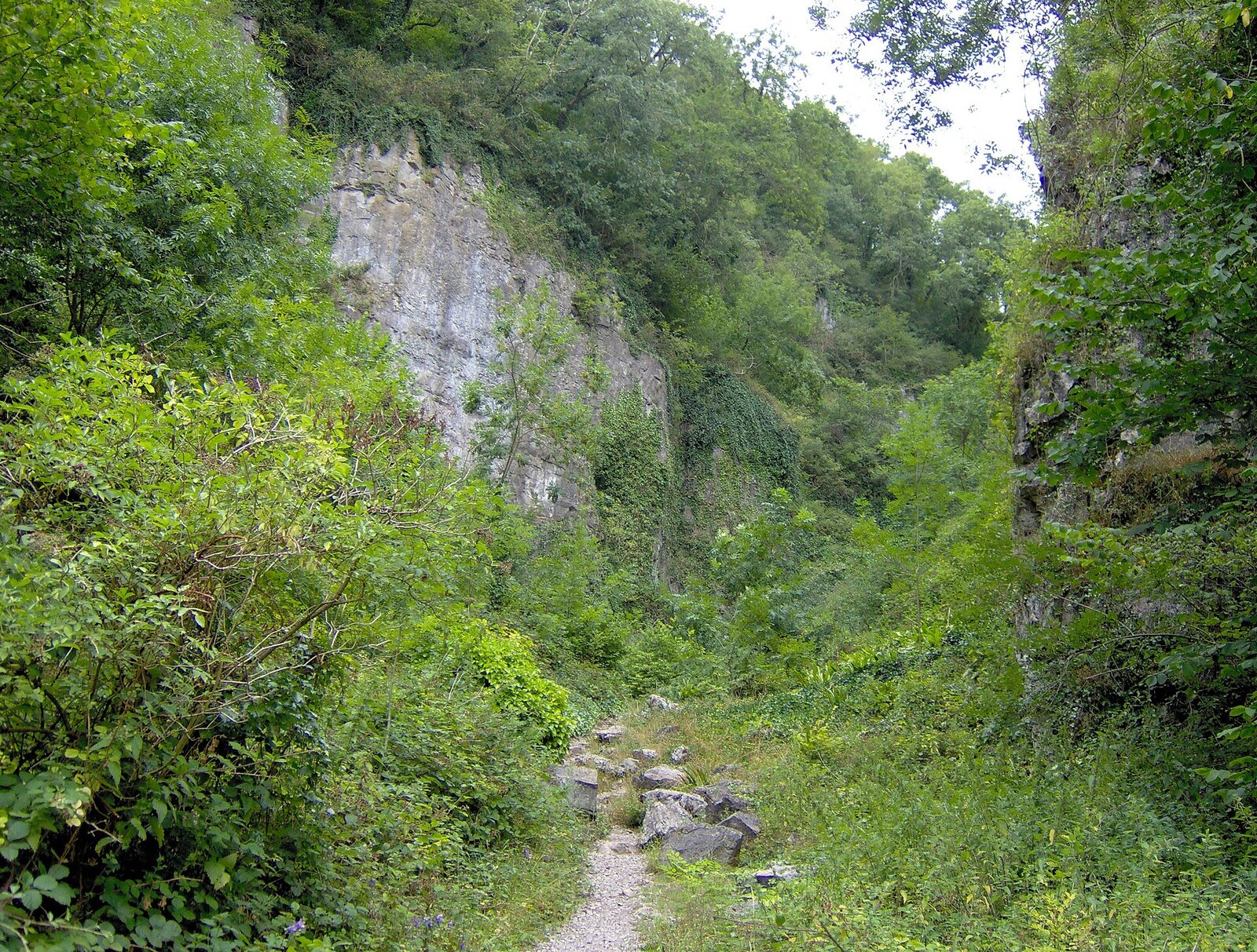 Ebbor Gorge, the quieter limestone gorge near Cheddar and Wookey Hole