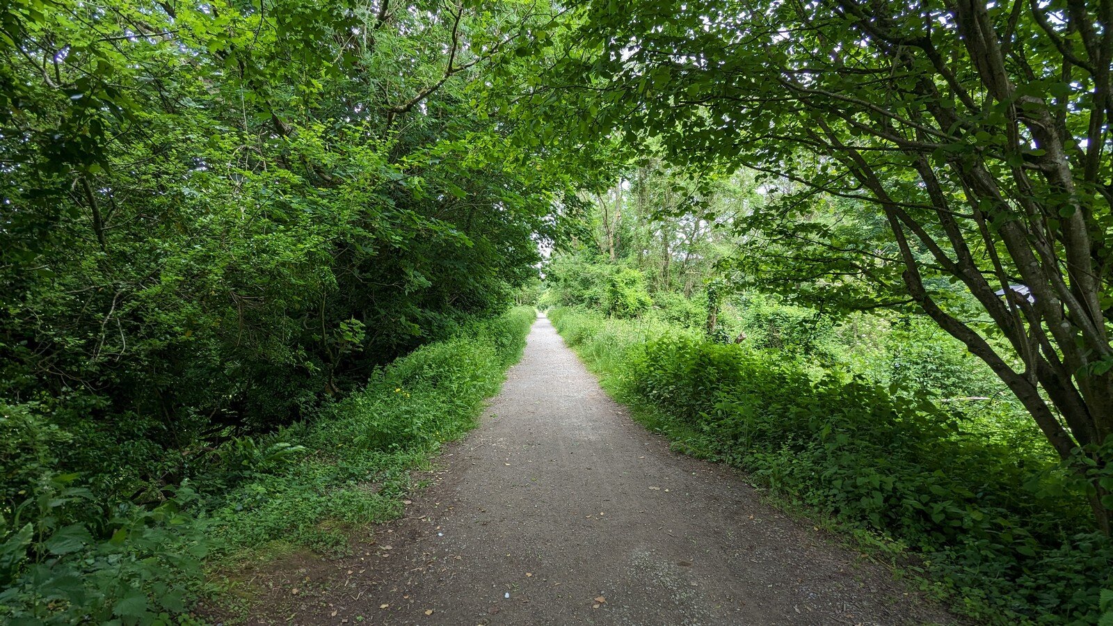 Tree-lined Strawberry Line path in North Somerset