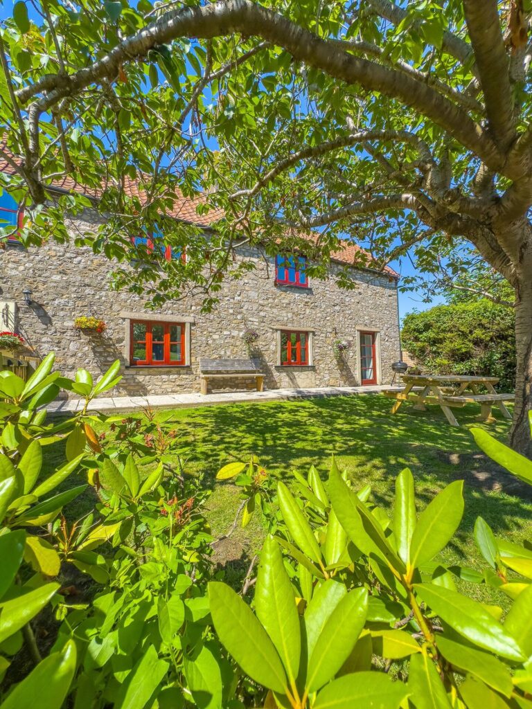 Inglenook Cottage's enclosed garden with picnic benches – dog-friendly holiday cottages in Weston-super-Mare